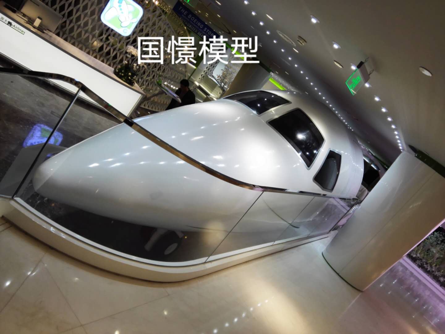 永康市大型仿真模型道具